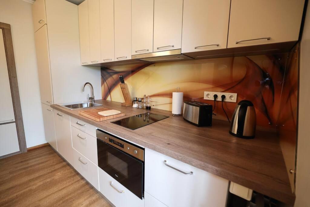 Greenland Apartments Cēsis Extérieur photo