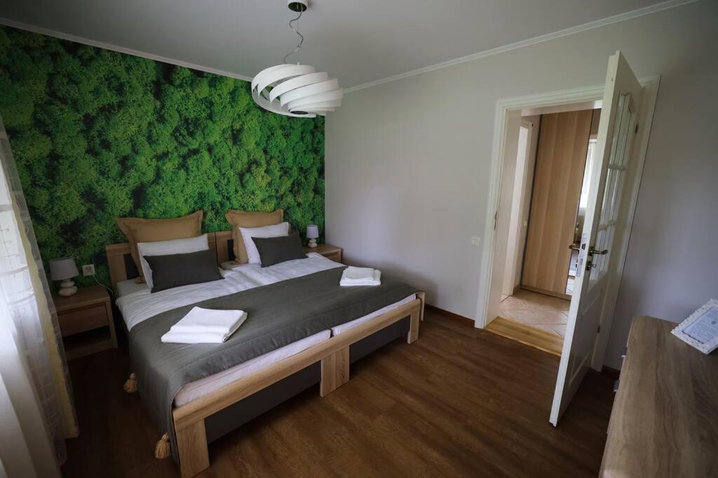 Greenland Apartments Cēsis Extérieur photo